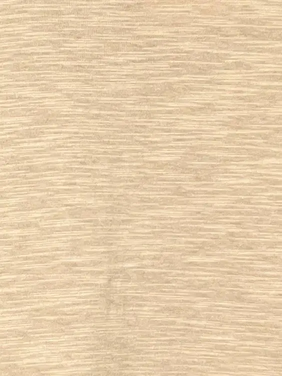 Лонгслив ЭттоПлюс 040 Размер 50-56 фото 12