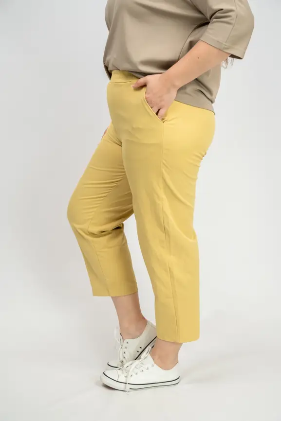 Брюки ЭттоПлюс 0021-1 Размеры 48-58 фото 18