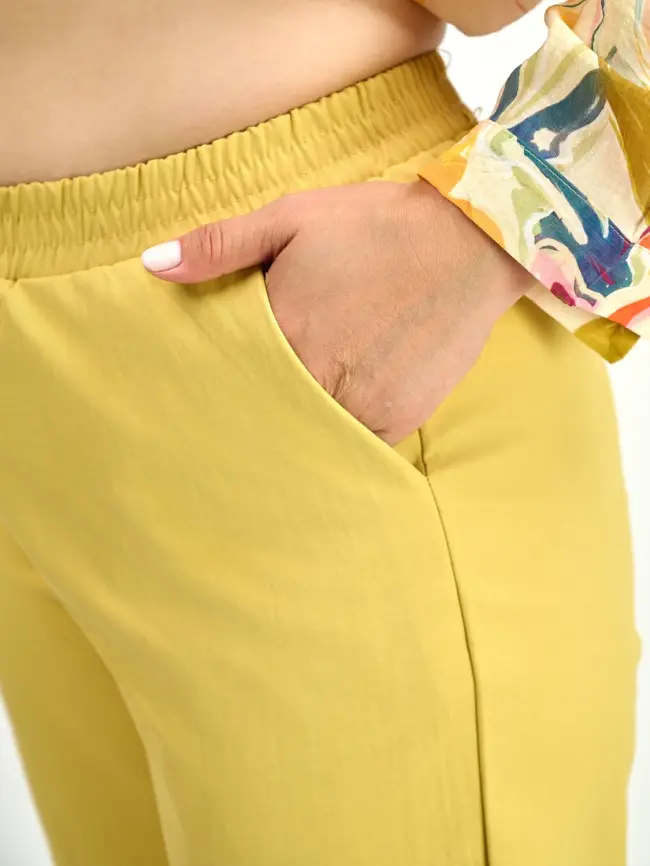 Брюки ЭттоПлюс 0021-1 Размеры 48-58 фото 13