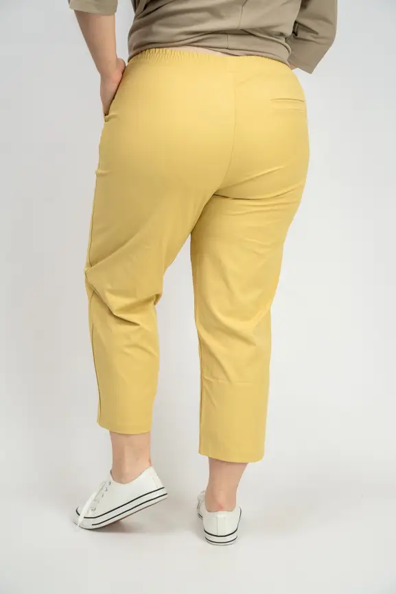 Брюки ЭттоПлюс 0021-1 Размеры 48-58 фото 19