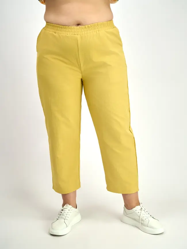 Брюки ЭттоПлюс 0021-1 Размеры 48-58 фото 7