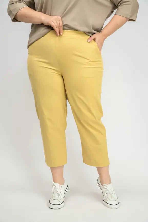 Брюки ЭттоПлюс 0021-1 Размеры 48-58 фото 16