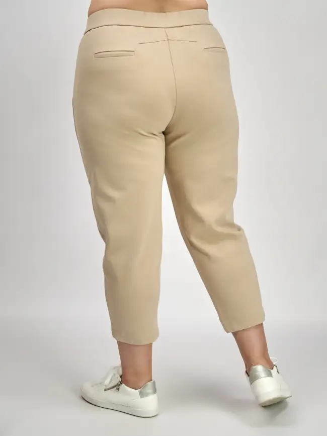 Брюки ЭттоПлюс 33586 Размеры 52-58 фото 27